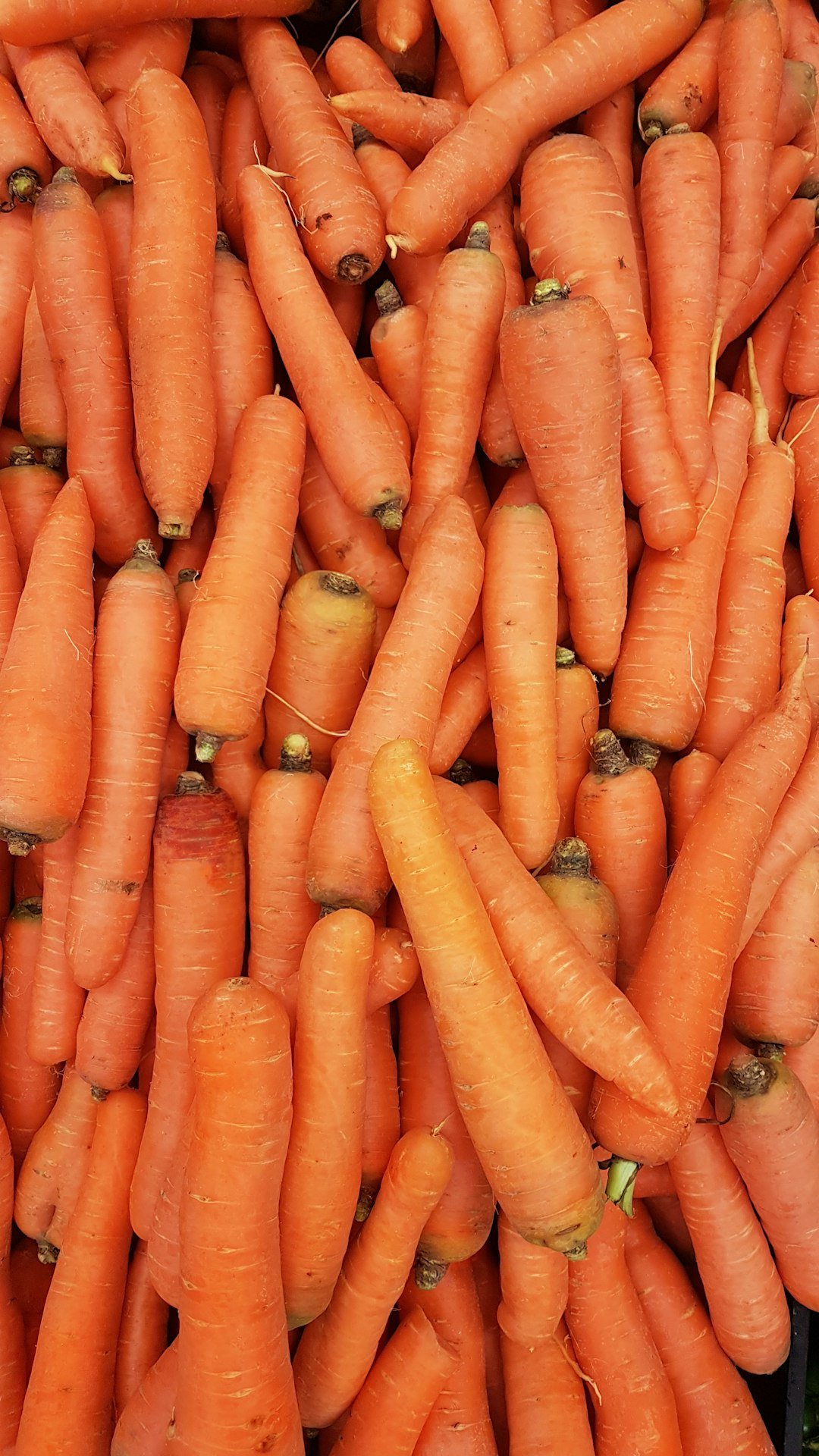 carrots